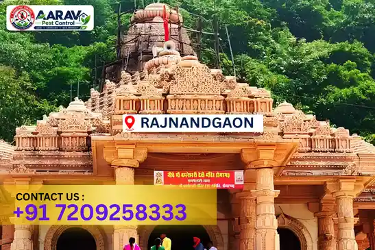 pest control in rajnandgaon, pest control rajnandgaon, pest control services rajnandgaon, pest control company in rajnandgaon, best pest control in rajnandgaon, professional pest control rajnandgaon, termite control in rajnandgaon, termite treatment rajnandgaon, cockroach control rajnandgaon, cockroach treatment rajnandgaon, bed bug control rajnandgaon, mosquito control rajnandgaon, rat control rajnandgaon, rodent control rajnandgaon, ant control rajnandgaon, lizard control rajnandgaon, general pest control rajnandgaon, home pest control rajnandgaon, commercial pest control rajnandgaon, pest control near me rajnandgaon, pest control price rajnandgaon, pest control price list rajnandgaon, price list in rajnandgaon, pest control cost rajnandgaon, termite control price rajnandgaon, termite treatment price rajnandgaon, best pest control company in rajnandgaon, pest control service in rajnandgaon, insect care pest control rajnandgaon