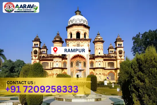 rampur pest control, pest control in rampur, pest control service rampur, pest control company in rampur, best pest control rampur, home pest control rampur, commercial pest control rampur, termite control in rampur, termite treatment rampur, cockroach control rampur, mosquito control rampur, bed bug control rampur, rat control rampur, lizard control rampur, ant control rampur, general pest control rampur, pest management rampur, pest control price rampur, rampur pest control price list, price list in rampur, affordable pest control rampur, professional pest control rampur, pest control near me rampur, pest control services rampur uttar pradesh, aarav pest control rampur, aarav pest control in rampur, aarav pest control uttar pradesh.