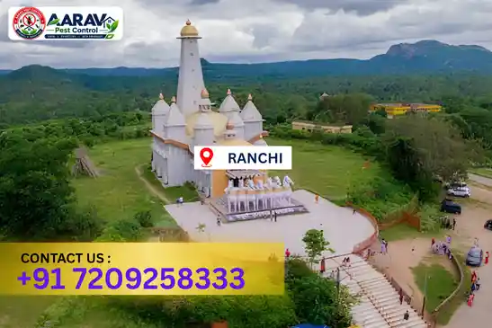 ranchi pest control, pest control in ranchi, pest control service ranchi, pest control company in ranchi, best pest control ranchi, home pest control ranchi, commercial pest control ranchi, termite control in ranchi, termite treatment ranchi, termite control service ranchi, cockroach control ranchi, cockroach treatment ranchi, mosquito control ranchi, mosquito treatment ranchi, bed bug control ranchi, bed bug treatment ranchi, rat control ranchi, rodent control ranchi, lizard control ranchi, ant control ranchi, general pest control ranchi, pest management ranchi, pest control price ranchi, ranchi pest control price list, price list in ranchi, pest control company in ranchi, termite control in ranchi, affordable pest control ranchi, pest control near me ranchi, professional pest control ranchi, pest control services ranchi jharkhand, aarav pest control ranchi, aarav pest control in ranchi, aarav pest control jharkhand.