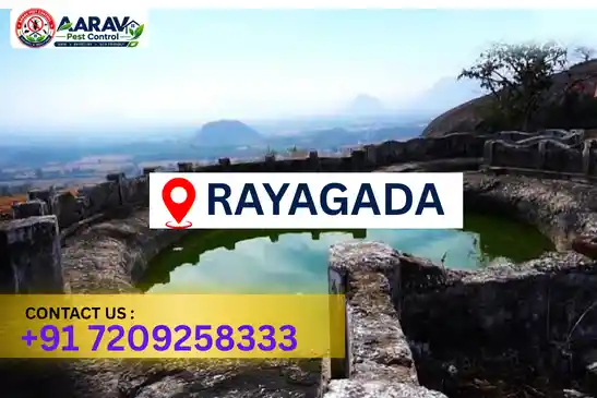 pest control rayagada, pest control service rayagada, best pest control rayagada, professional pest control rayagada, pest control company rayagada, affordable pest control rayagada, residential pest control rayagada, commercial pest control rayagada, termite control rayagada, termite treatment rayagada, cockroach control rayagada, bed bug control rayagada, rodent control rayagada, mosquito control rayagada, insect control rayagada, house pest control rayagada, office pest control rayagada, pest removal rayagada, pest management rayagada, pest treatment rayagada, local pest control rayagada, reliable pest control rayagada, safe pest control rayagada, effective pest control rayagada, complete pest control solutions rayagada