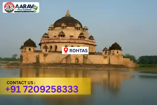 pest control in rohtas, pest control rohtas, pest control services rohtas, pest control company in rohtas, aarav pest control rohtas, best pest control in rohtas, professional pest control rohtas, termite control in rohtas, termite treatment rohtas, cockroach control rohtas, bed bug control rohtas, mosquito control rohtas, rat control rohtas, rodent control rohtas, ant control rohtas, lizard control rohtas, wood borer control rohtas, wood borer treatment rohtas, general pest control rohtas, home pest control rohtas, commercial pest control rohtas, pest control near me rohtas, pest control price rohtas, pest control price list rohtas, price list in rohtas, pest control cost rohtas, termite control price rohtas, wood borer treatment price rohtas, best pest control company in rohtas, pest control service in rohtas, aarav pest control price list rohtas, aarav pest control termite control rohtas, aarav pest control wood borer treatment rohtas