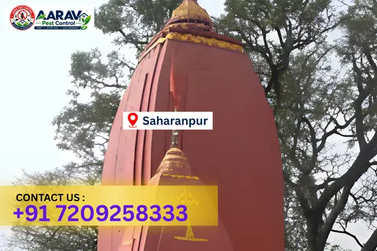 saharanpur pest control, pest control in saharanpur, pest control service saharanpur, pest control company in saharanpur, best pest control saharanpur, home pest control saharanpur, commercial pest control saharanpur, termite control in saharanpur, termite treatment saharanpur, cockroach control saharanpur, mosquito control saharanpur, bed bug control saharanpur, rat control saharanpur, lizard control saharanpur, ant control saharanpur, general pest control saharanpur, pest management saharanpur, pest control price saharanpur, saharanpur pest control price list, price list in saharanpur, affordable pest control saharanpur, professional pest control saharanpur, pest control near me saharanpur, pest control services saharanpur uttar pradesh, aarav pest control saharanpur, aarav pest control in saharanpur, aarav pest control uttar pradesh.
