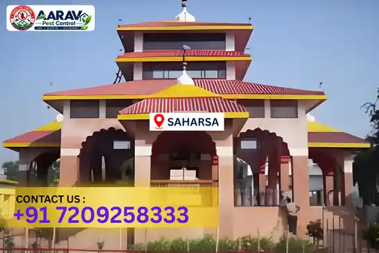 pest control in saharsa, pest control saharsa, pest control services saharsa, pest control company in saharsa, aarav pest control saharsa, best pest control in saharsa, professional pest control saharsa, termite control in saharsa, termite treatment saharsa, cockroach control saharsa, bed bug control saharsa, mosquito control saharsa, rat control saharsa, rodent control saharsa, ant control saharsa, lizard control saharsa, wood borer control saharsa, wood borer treatment saharsa, general pest control saharsa, home pest control saharsa, commercial pest control saharsa, pest control near me saharsa, pest control price saharsa, pest control price list saharsa, price list in saharsa, pest control cost saharsa, termite control price saharsa, wood borer treatment price saharsa, best pest control company in saharsa, pest control service in saharsa, aarav pest control price list saharsa, aarav pest control termite control saharsa, aarav pest control wood borer treatment saharsa