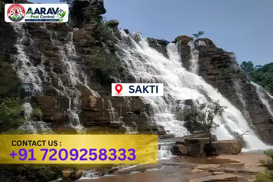pest control in sakti, pest control sakti, pest control services sakti, pest control company in sakti, best pest control in sakti, professional pest control sakti, termite control in sakti, termite treatment sakti, cockroach control sakti, cockroach treatment sakti, bed bug control sakti, mosquito control sakti, rat control sakti, rodent control sakti, ant control sakti, lizard control sakti, general pest control sakti, home pest control sakti, commercial pest control sakti, pest control near me sakti, pest control price sakti, pest control price list sakti, price list in sakti, pest control cost sakti, termite control price sakti, termite treatment price sakti, best pest control company in sakti, pest control service in sakti, insect care pest control sakti