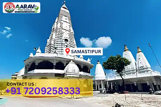 pest control in samastipur, pest control samastipur, pest control services samastipur, pest control company in samastipur, aarav pest control samastipur, best pest control in samastipur, professional pest control samastipur, termite control in samastipur, termite treatment samastipur, cockroach control samastipur, bed bug control samastipur, mosquito control samastipur, rat control samastipur, rodent control samastipur, ant control samastipur, lizard control samastipur, wood borer control samastipur, wood borer treatment samastipur, general pest control samastipur, home pest control samastipur, commercial pest control samastipur, pest control near me samastipur, pest control price samastipur, pest control price list samastipur, price list in samastipur, pest control cost samastipur, termite control price samastipur, wood borer treatment price samastipur, best pest control company in samastipur, pest control service in samastipur, aarav pest control price list samastipur, aarav pest control termite control samastipur, aarav pest control wood borer treatment samastipur