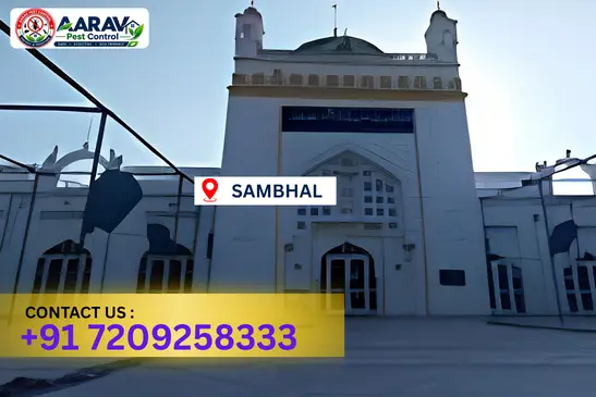 sambhal pest control, pest control in sambhal, pest control service sambhal, pest control company in sambhal, best pest control sambhal, home pest control sambhal, commercial pest control sambhal, termite control in sambhal, termite treatment sambhal, cockroach control sambhal, mosquito control sambhal, bed bug control sambhal, rat control sambhal, lizard control sambhal, ant control sambhal, general pest control sambhal, pest management sambhal, pest control price sambhal, sambhal pest control price list, price list in sambhal, affordable pest control sambhal, professional pest control sambhal, pest control near me sambhal, pest control services sambhal uttar pradesh, aarav pest control sambhal, aarav pest control in sambhal, aarav pest control uttar pradesh.