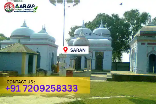 pest control in saran, pest control saran, pest control services saran, pest control company in saran, aarav pest control saran, best pest control in saran, professional pest control saran, termite control in saran, termite treatment saran, cockroach control saran, bed bug control saran, mosquito control saran, rat control saran, rodent control saran, ant control saran, lizard control saran, wood borer control saran, wood borer treatment saran, general pest control saran, home pest control saran, commercial pest control saran, pest control near me saran, pest control price saran, pest control price list saran, price list in saran, pest control cost saran, termite control price saran, wood borer treatment price saran, best pest control company in saran, pest control service in saran, aarav pest control price list saran, aarav pest control termite control saran, aarav pest control wood borer treatment saran