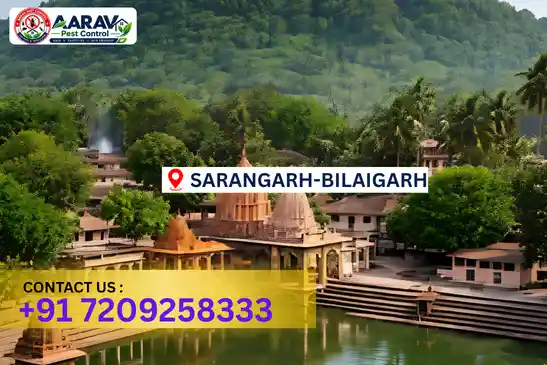 pest control in sarangarh-bilaigarh, pest control sarangarh-bilaigarh, pest control services sarangarh-bilaigarh, pest control company in sarangarh-bilaigarh, best pest control in sarangarh-bilaigarh, professional pest control sarangarh-bilaigarh, termite control in sarangarh-bilaigarh, termite treatment sarangarh-bilaigarh, cockroach control sarangarh-bilaigarh, cockroach treatment sarangarh-bilaigarh, bed bug control sarangarh-bilaigarh, mosquito control sarangarh-bilaigarh, rat control sarangarh-bilaigarh, rodent control sarangarh-bilaigarh, ant control sarangarh-bilaigarh, lizard control sarangarh-bilaigarh, general pest control sarangarh-bilaigarh, home pest control sarangarh-bilaigarh, commercial pest control sarangarh-bilaigarh, pest control near me sarangarh-bilaigarh, pest control price sarangarh-bilaigarh, pest control price list sarangarh-bilaigarh, price list in sarangarh-bilaigarh, pest control cost sarangarh-bilaigarh, termite control price sarangarh-bilaigarh, termite treatment price sarangarh-bilaigarh, best pest control company in sarangarh-bilaigarh, pest control service in sarangarh-bilaigarh, insect care pest control sarangarh-bilaigarh