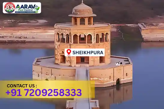pest control in sheikhpura, pest control sheikhpura, pest control services sheikhpura, pest control company in sheikhpura, aarav pest control sheikhpura, best pest control in sheikhpura, professional pest control sheikhpura, termite control in sheikhpura, termite treatment sheikhpura, cockroach control sheikhpura, bed bug control sheikhpura, mosquito control sheikhpura, rat control sheikhpura, rodent control sheikhpura, ant control sheikhpura, lizard control sheikhpura, wood borer control sheikhpura, wood borer treatment sheikhpura, general pest control sheikhpura, home pest control sheikhpura, commercial pest control sheikhpura, pest control near me sheikhpura, pest control price sheikhpura, pest control price list sheikhpura, price list in sheikhpura, pest control cost sheikhpura, termite control price sheikhpura, wood borer treatment price sheikhpura, best pest control company in sheikhpura, pest control service in sheikhpura, aarav pest control price list sheikhpura, aarav pest control termite control sheikhpura, aarav pest control wood borer treatment sheikhpura