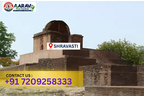 shravasti pest control, pest control in shravasti, pest control service shravasti, pest control company in shravasti, best pest control shravasti, home pest control shravasti, commercial pest control shravasti, termite control in shravasti, termite treatment shravasti, cockroach control shravasti, mosquito control shravasti, bed bug control shravasti, rat control shravasti, lizard control shravasti, ant control shravasti, general pest control shravasti, pest management shravasti, pest control price shravasti, shravasti pest control price list, price list in shravasti, affordable pest control shravasti, professional pest control shravasti, pest control near me shravasti, pest control services shravasti uttar pradesh, aarav pest control shravasti, aarav pest control in shravasti, aarav pest control uttar pradesh.