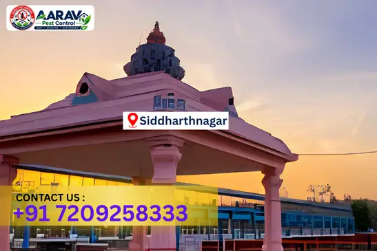 siddharthnagar pest control, pest control in siddharthnagar, pest control service siddharthnagar, pest control company in siddharthnagar, best pest control siddharthnagar, home pest control siddharthnagar, commercial pest control siddharthnagar, termite control in siddharthnagar, termite treatment siddharthnagar, cockroach control siddharthnagar, mosquito control siddharthnagar, bed bug control siddharthnagar, rat control siddharthnagar, lizard control siddharthnagar, ant control siddharthnagar, general pest control siddharthnagar, pest management siddharthnagar, pest control price siddharthnagar, siddharthnagar pest control price list, price list in siddharthnagar, affordable pest control siddharthnagar, professional pest control siddharthnagar, pest control near me siddharthnagar, pest control services siddharthnagar uttar pradesh, aarav pest control siddharthnagar, aarav pest control in siddharthnagar, aarav pest control uttar pradesh.