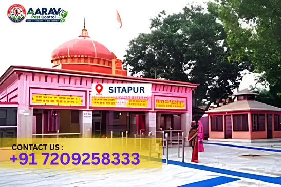 sitapur pest control, pest control in sitapur, pest control service sitapur, pest control company in sitapur, best pest control sitapur, home pest control sitapur, commercial pest control sitapur, termite control in sitapur, termite treatment sitapur, cockroach control sitapur, mosquito control sitapur, bed bug control sitapur, rat control sitapur, lizard control sitapur, ant control sitapur, general pest control sitapur, pest management sitapur, pest control price sitapur, sitapur pest control price list, price list in sitapur, affordable pest control sitapur, professional pest control sitapur, pest control near me sitapur, pest control services sitapur uttar pradesh, aarav pest control sitapur, aarav pest control in sitapur, aarav pest control uttar pradesh.
