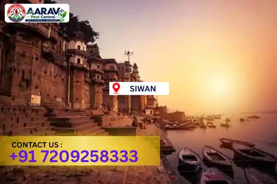 pest control in siwan, pest control siwan, pest control services siwan, pest control company in siwan, aarav pest control siwan, best pest control in siwan, professional pest control siwan, termite control in siwan, termite treatment siwan, cockroach control siwan, bed bug control siwan, mosquito control siwan, rat control siwan, rodent control siwan, ant control siwan, lizard control siwan, wood borer control siwan, wood borer treatment siwan, general pest control siwan, home pest control siwan, commercial pest control siwan, pest control near me siwan, pest control price siwan, pest control price list siwan, price list in siwan, pest control cost siwan, termite control price siwan, wood borer treatment price siwan, best pest control company in siwan, pest control service in siwan, aarav pest control price list siwan, aarav pest control termite control siwan, aarav pest control wood borer treatment siwan