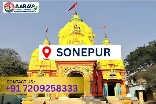 pest control subarnapur, pest control service subarnapur, best pest control subarnapur, professional pest control subarnapur, pest control company subarnapur, affordable pest control subarnapur, residential pest control subarnapur, commercial pest control subarnapur, termite control subarnapur, termite treatment subarnapur, cockroach control subarnapur, bed bug control subarnapur, rodent control subarnapur, mosquito control subarnapur, insect control subarnapur, house pest control subarnapur, office pest control subarnapur, pest removal subarnapur, pest management subarnapur, pest treatment subarnapur, local pest control subarnapur, reliable pest control subarnapur, safe pest control subarnapur, effective pest control subarnapur, complete pest control solutions subarnapur