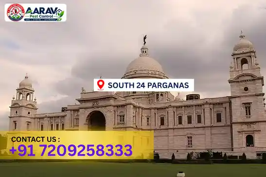 pest control in south 24 parganas, pest control south 24 parganas, pest control services south 24 parganas, pest control company in south 24 parganas, best pest control in south 24 parganas, professional pest control south 24 parganas, termite control in south 24 parganas, termite treatment south 24 parganas, cockroach control south 24 parganas, bed bug control south 24 parganas, mosquito control south 24 parganas, rat control south 24 parganas, rodent control south 24 parganas, ant control south 24 parganas, lizard control south 24 parganas, wood borer control south 24 parganas, wood borer treatment south 24 parganas, general pest control south 24 parganas, home pest control south 24 parganas, commercial pest control south 24 parganas, pest control near me south 24 parganas, pest control price south 24 parganas, pest control price list south 24 parganas, price list in south 24 parganas, pest control cost south 24 parganas, termite control price south 24 parganas, wood borer treatment price south 24 parganas, best pest control company in south 24 parganas, pest control service in south 24 parganas, insect care pest control south 24 parganas