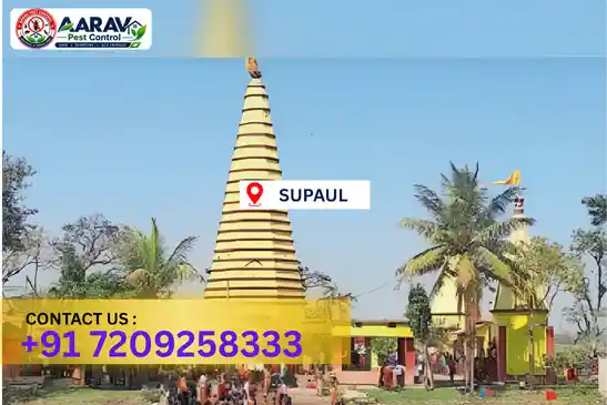 pest control in supaul, pest control supaul, pest control services supaul, pest control company in supaul, aarav pest control supaul, best pest control in supaul, professional pest control supaul, termite control in supaul, termite treatment supaul, cockroach control supaul, bed bug control supaul, mosquito control supaul, rat control supaul, rodent control supaul, ant control supaul, lizard control supaul, wood borer control supaul, wood borer treatment supaul, general pest control supaul, home pest control supaul, commercial pest control supaul, pest control near me supaul, pest control price supaul, pest control price list supaul, price list in supaul, pest control cost supaul, termite control price supaul, wood borer treatment price supaul, best pest control company in supaul, pest control service in supaul, aarav pest control price list supaul, aarav pest control termite control supaul, aarav pest control wood borer treatment supaul