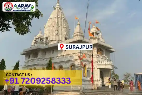 pest control in surajpur, pest control surajpur, pest control services surajpur, pest control company in surajpur, best pest control in surajpur, professional pest control surajpur, termite control in surajpur, termite treatment surajpur, cockroach control surajpur, cockroach treatment surajpur, bed bug control surajpur, mosquito control surajpur, rat control surajpur, rodent control surajpur, ant control surajpur, lizard control surajpur, general pest control surajpur, home pest control surajpur, commercial pest control surajpur, pest control near me surajpur, pest control price surajpur, pest control price list surajpur, price list in surajpur, pest control cost surajpur, termite control price surajpur, termite treatment price surajpur, best pest control company in surajpur, pest control service in surajpur, insect care pest control surajpur