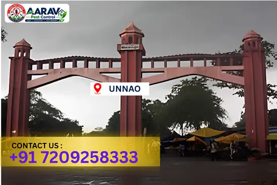 unnao pest control, pest control in unnao, pest control service unnao, pest control company in unnao, best pest control unnao, home pest control unnao, commercial pest control unnao, termite control in unnao, termite treatment unnao, cockroach control unnao, mosquito control unnao, bed bug control unnao, rat control unnao, lizard control unnao, ant control unnao, general pest control unnao, pest management unnao, pest control price unnao, unnao pest control price list, price list in unnao, affordable pest control unnao, professional pest control unnao, pest control near me unnao, pest control services unnao uttar pradesh, aarav pest control unnao, aarav pest control in unnao, aarav pest control uttar pradesh.