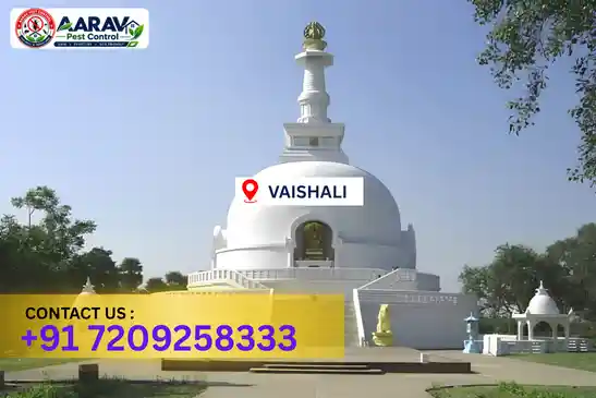 pest control in vaishali, pest control vaishali, pest control services vaishali, pest control company in vaishali, aarav pest control vaishali, best pest control in vaishali, professional pest control vaishali, termite control in vaishali, termite treatment vaishali, cockroach control vaishali, bed bug control vaishali, mosquito control vaishali, rat control vaishali, rodent control vaishali, ant control vaishali, lizard control vaishali, wood borer control vaishali, wood borer treatment vaishali, general pest control vaishali, home pest control vaishali, commercial pest control vaishali, pest control near me vaishali, pest control price vaishali, pest control price list vaishali, price list in vaishali, pest control cost vaishali, termite control price vaishali, wood borer treatment price vaishali, best pest control company in vaishali, pest control service in vaishali, aarav pest control price list vaishali, aarav pest control termite control vaishali, aarav pest control wood borer treatment vaishali