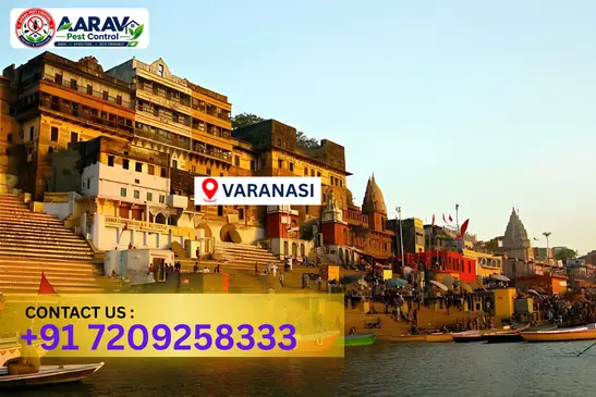 varanasi pest control, pest control in varanasi, pest control service varanasi, pest control company in varanasi, best pest control varanasi, home pest control varanasi, commercial pest control varanasi, termite control in varanasi, termite treatment varanasi, cockroach control varanasi, mosquito control varanasi, bed bug control varanasi, rat control varanasi, lizard control varanasi, ant control varanasi, general pest control varanasi, pest management varanasi, pest control price varanasi, varanasi pest control price list, price list in varanasi, affordable pest control varanasi, professional pest control varanasi, pest control near me varanasi, pest control services varanasi uttar pradesh, aarav pest control varanasi, aarav pest control in varanasi, aarav pest control uttar pradesh.