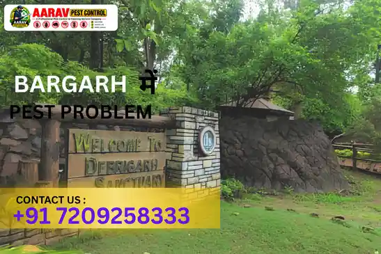 pest control in bargarh, pest control service bargarh, best pest control in bargarh, pest control company in bargarh, pest control services odisha, termite control bargarh, cockroach control bargarh, mosquito control bargarh, ant control bargarh, rodent control bargarh, bed bug control bargarh, fly control bargarh, lizard control bargarh, residential pest control bargarh, commercial pest control bargarh, professional pest control bargarh, home pest control bargarh, office pest control bargarh, pest management bargarh, pest treatment bargarh, pest control near bargarh, aarav pest control bargarh, pest control in padampur, pest control in attabira, pest control in barpali, pest control in sohela, pest control in bijepur, pest control in bheden, pest control in ambabhona, pest control in jharbandh, pest control near bargarh odisha, pest control services near me bargarh