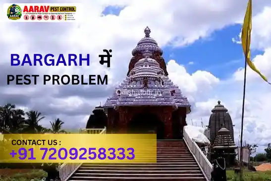 pest control in bhadrak, pest control service bhadrak, best pest control in bhadrak, pest control company in bhadrak, pest control services odisha, termite control bhadrak, cockroach control bhadrak, mosquito control bhadrak, ant control bhadrak, rodent control bhadrak, bed bug control bhadrak, fly control bhadrak, lizard control bhadrak, residential pest control bhadrak, commercial pest control bhadrak, professional pest control bhadrak, home pest control bhadrak, office pest control bhadrak, pest management bhadrak, pest treatment bhadrak, pest control near bhadrak, aarav pest control bhadrak, pest control in basudevpur, pest control in bhandari pokhari, pest control in chandabali, pest control in dhamnagar, pest control in bonth, pest control in tihidi, pest control in bansada, pest control near bhadrak odisha, pest control services near me bhadrak