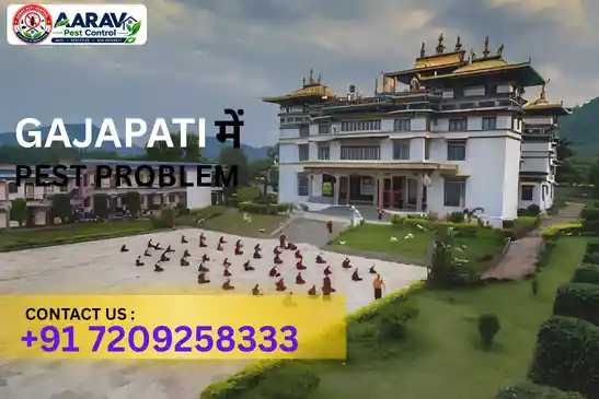 pest control in gajapati, pest control service gajapati, best pest control in gajapati, pest control company in gajapati, pest control services odisha, termite control gajapati, cockroach control gajapati, mosquito control gajapati, ant control gajapati, rodent control gajapati, bed bug control gajapati, fly control gajapati, lizard control gajapati, residential pest control gajapati, commercial pest control gajapati, professional pest control gajapati, home pest control gajapati, office pest control gajapati, pest management gajapati, pest treatment gajapati, pest control near gajapati, aarav pest control gajapati, pest control in paralakhemundi, pest control in kashinagar, pest control in r udayagiri, pest control in mohana, pest control in gumma, pest control in nuagada, pest control in rayagada block, pest control near gajapati odisha, pest control services near me gajapati