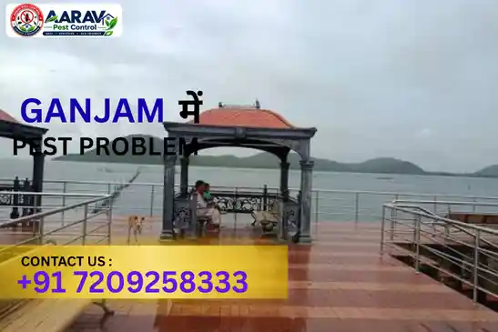 pest control services in ganjam, professional pest control services in ganjam, best pest control company in ganjam, affordable pest control services in ganjam, residential pest control services in ganjam, commercial pest control services in ganjam, termite control treatment in ganjam, cockroach control services in ganjam, bed bug control treatment in ganjam, rodent control services in ganjam, mosquito control services in ganjam, house pest control services in ganjam, office pest control services in ganjam, complete pest control solutions in ganjam, reliable pest control company in ganjam, expert pest control treatment in ganjam, local pest control service in ganjam, safe and effective pest control in ganjam, pest removal services in ganjam, professional insect control services in ganjam