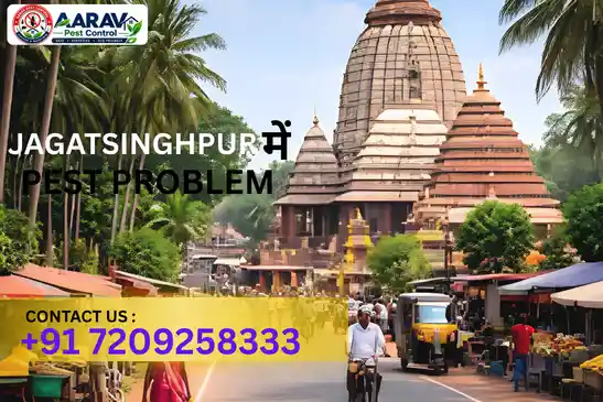 pest control jagatsinghpur, pest control service jagatsinghpur, best pest control jagatsinghpur, professional pest control jagatsinghpur, pest control company jagatsinghpur, pest control services jagatsinghpur, affordable pest control jagatsinghpur, residential pest control jagatsinghpur, commercial pest control jagatsinghpur, termite control jagatsinghpur, termite treatment jagatsinghpur, cockroach control jagatsinghpur, bed bug control jagatsinghpur, rodent control jagatsinghpur, mosquito control jagatsinghpur, insect control jagatsinghpur, house pest control jagatsinghpur, office pest control jagatsinghpur, pest removal jagatsinghpur, pest management jagatsinghpur, pest treatment jagatsinghpur, local pest control jagatsinghpur, reliable pest control jagatsinghpur, safe pest control jagatsinghpur, effective pest control jagatsinghpur, pest control company near jagatsinghpur, professional pest treatment jagatsinghpur, complete pest control solutions jagatsinghpur, home pest control service jagatsinghpur, business pest control service jagatsinghpur