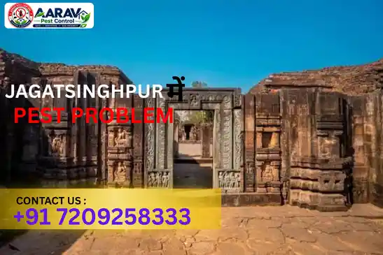 pest control jajpur, pest control service jajpur, best pest control jajpur, professional pest control jajpur, pest control company jajpur, pest control services jajpur, affordable pest control jajpur, residential pest control jajpur, commercial pest control jajpur, termite control jajpur, termite treatment jajpur, cockroach control jajpur, bed bug control jajpur, rodent control jajpur, mosquito control jajpur, insect control jajpur, house pest control jajpur, office pest control jajpur, pest removal jajpur, pest management jajpur, pest treatment jajpur, local pest control jajpur, reliable pest control jajpur, safe pest control jajpur, effective pest control jajpur, pest control company near jajpur, professional pest treatment jajpur, complete pest control solutions jajpur, home pest control service jajpur, business pest control service jajpur