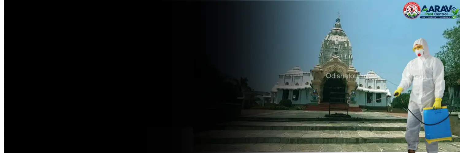 termite control in angul, termite treatment in angul, termite control angul, termite treatment angul, best termite control in angul, professional termite control angul, affordable termite treatment angul, termite pest control angul, termite exterminator angul, termite removal service angul, termite inspection angul, termite prevention angul, anti termite treatment angul, pre construction termite treatment angul, post construction termite treatment angul, residential termite control angul, commercial termite control angul, home termite control angul, office termite control angul, termite control service near me angul, termite control company in angul, termite control services angul, termite treatment services angul, wood termite treatment angul, soil termite treatment angul, termite chemical treatment angul, termite barrier treatment angul, termite drilling treatment angul, termite control for house angul, termite control for furniture angul, termite control price in angul, termite treatment price in angul, termite control price list angul, termite treatment price list angul, termite control cost angul, termite treatment cost angul, termite control charges angul, termite treatment charges angul, termite control rates angul, termite treatment rates angul, termite control service price angul, anti termite treatment price angul, pre construction termite treatment price angul, post construction termite treatment price angul, aarav pest control angul, aarav pest control termite treatment, aarav pest control termite control angul, best termite treatment company angul, termite control experts angul, termite control specialist angul, termite control in odisha, termite treatment in odisha, termite control talcher, termite treatment talcher.