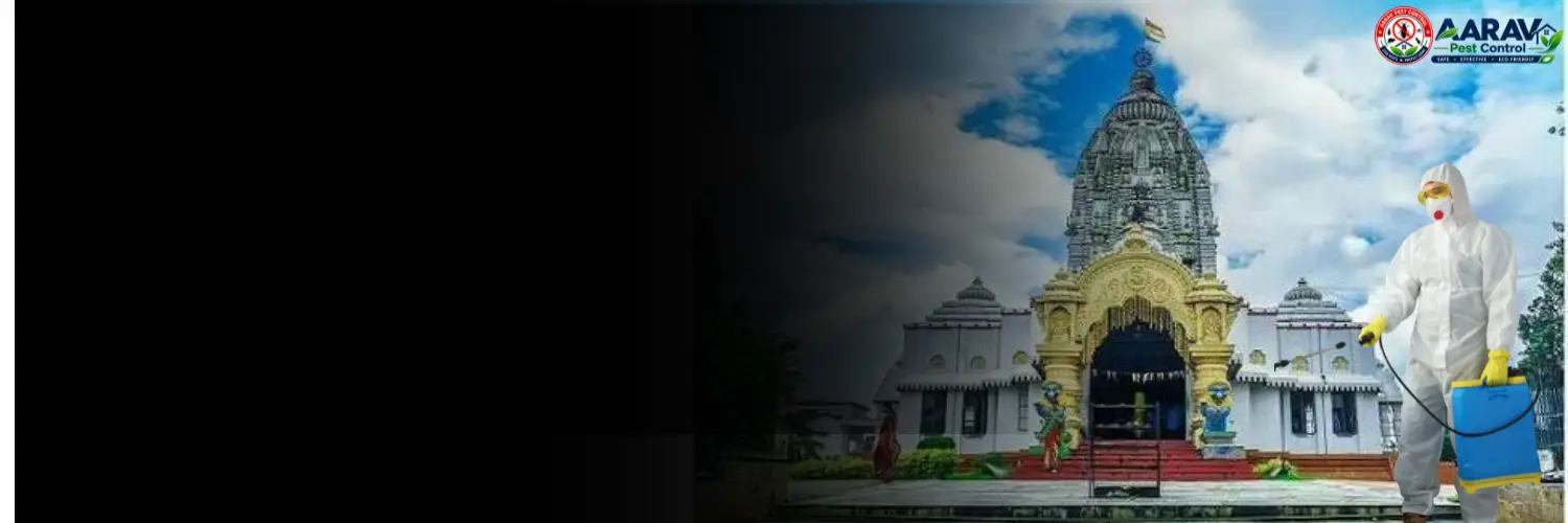 termite control in boudh, termite treatment in boudh, termite control boudh, termite treatment boudh, best termite control in boudh, professional termite control boudh, affordable termite treatment boudh, termite pest control boudh, termite exterminator boudh, termite removal service boudh, termite inspection boudh, termite prevention boudh, anti termite treatment boudh, pre construction termite treatment boudh, post construction termite treatment boudh, residential termite control boudh, commercial termite control boudh, home termite control boudh, office termite control boudh, termite control service near me boudh, termite control company in boudh, termite control services boudh, termite treatment services boudh, wood termite treatment boudh, soil termite treatment boudh, termite chemical treatment boudh, termite barrier treatment boudh, termite drilling treatment boudh, termite control for house boudh, termite control for furniture boudh, termite control price in boudh, termite treatment price in boudh, termite control price list boudh, termite treatment price list boudh, termite control cost boudh, termite treatment cost boudh, termite control charges boudh, termite treatment charges boudh, termite control rates boudh, termite treatment rates boudh, termite control service price boudh, anti termite treatment price boudh, pre construction termite treatment price boudh, post construction termite treatment price boudh, aarav pest control boudh, aarav pest control termite treatment, aarav pest control termite control boudh, best termite treatment company boudh, termite control experts boudh, termite control specialist boudh, termite control in odisha, termite treatment in odisha, termite control in harabhanga, termite control in kantamal, termite treatment in boudhgarh.