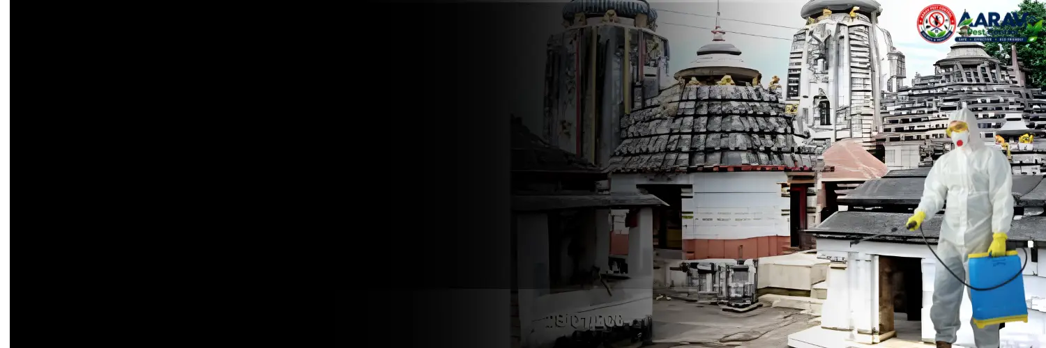 termite control in gajapati, termite treatment in gajapati, termite control gajapati, termite treatment gajapati, best termite control in gajapati, professional termite control gajapati, affordable termite treatment gajapati, termite pest control gajapati, termite exterminator gajapati, termite removal service gajapati, termite inspection gajapati, termite prevention gajapati, anti termite treatment gajapati, pre construction termite treatment gajapati, post construction termite treatment gajapati, residential termite control gajapati, commercial termite control gajapati, home termite control gajapati, office termite control gajapati, termite control service near me gajapati, termite control company in gajapati, termite control services gajapati, termite treatment services gajapati, wood termite treatment gajapati, soil termite treatment gajapati, termite chemical treatment gajapati, termite barrier treatment gajapati, termite drilling treatment gajapati, termite control for house gajapati, termite control for furniture gajapati, termite control price in gajapati, termite treatment price in gajapati, termite control price list gajapati, termite treatment price list gajapati, termite control cost gajapati, termite treatment cost gajapati, termite control charges gajapati, termite treatment charges gajapati, termite control rates gajapati, termite treatment rates gajapati, termite control service price gajapati, anti termite treatment price gajapati, pre construction termite treatment price gajapati, post construction termite treatment price gajapati, aarav pest control gajapati, aarav pest control termite treatment, aarav pest control termite control gajapati, best termite treatment company gajapati, termite control experts gajapati, termite control specialist gajapati, termite control in odisha, termite treatment in odisha, termite control in paralakhemundi, termite treatment in paralakhemundi, termite control in mohana, termite control in kasinagar, termite control in gumma, termite control in nuagada, termite control in r. udayagiri.