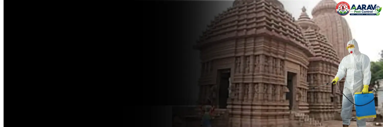 termite control in ganjam, termite treatment in ganjam, termite control ganjam, termite treatment ganjam, best termite control in ganjam, professional termite control ganjam, affordable termite treatment ganjam, termite pest control ganjam, termite exterminator ganjam, termite removal service ganjam, termite inspection ganjam, termite prevention ganjam, anti termite treatment ganjam, pre construction termite treatment ganjam, post construction termite treatment ganjam, residential termite control ganjam, commercial termite control ganjam, home termite control ganjam, office termite control ganjam, termite control service near me ganjam, termite control company in ganjam, termite control services ganjam, termite treatment services ganjam, wood termite treatment ganjam, soil termite treatment ganjam, termite chemical treatment ganjam, termite barrier treatment ganjam, termite drilling treatment ganjam, termite control for house ganjam, termite control for furniture ganjam, termite control price in ganjam, termite treatment price in ganjam, termite control price list ganjam, termite treatment price list ganjam, termite control cost ganjam, termite treatment cost ganjam, termite control charges ganjam, termite treatment charges ganjam, termite control rates ganjam, termite treatment rates ganjam, termite control service price ganjam, anti termite treatment price ganjam, pre construction termite treatment price ganjam, post construction termite treatment price ganjam, aarav pest control ganjam, aarav pest control termite treatment, aarav pest control termite control ganjam, best termite treatment company ganjam, termite control experts ganjam, termite control specialist ganjam, termite control in odisha, termite treatment in odisha, termite control in berhampur, termite treatment in berhampur, termite control in chhatrapur, termite treatment in chhatrapur, termite control in bhanjanagar, termite control in gopalpur, termite control in hinjilicut, termite control in aska, termite control in khallikote, termite control in digapahandi.