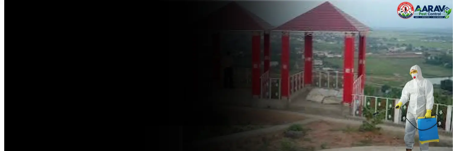 nabarangpur pest control, pest control in nabarangpur, pest control service nabarangpur, pest control company in nabarangpur, best pest control nabarangpur, home pest control nabarangpur, commercial pest control nabarangpur, termite control in nabarangpur, termite treatment nabarangpur, cockroach control nabarangpur, mosquito control nabarangpur, bed bug control nabarangpur, rat control nabarangpur, lizard control nabarangpur, ant control nabarangpur, general pest control nabarangpur, pest management nabarangpur, pest control price nabarangpur, nabarangpur pest control price list, price list in nabarangpur, affordable pest control nabarangpur, professional pest control nabarangpur, pest control near me nabarangpur, pest control services nabarangpur odisha, aarav pest control nabarangpur, aarav pest control in nabarangpur, aarav pest control odisha