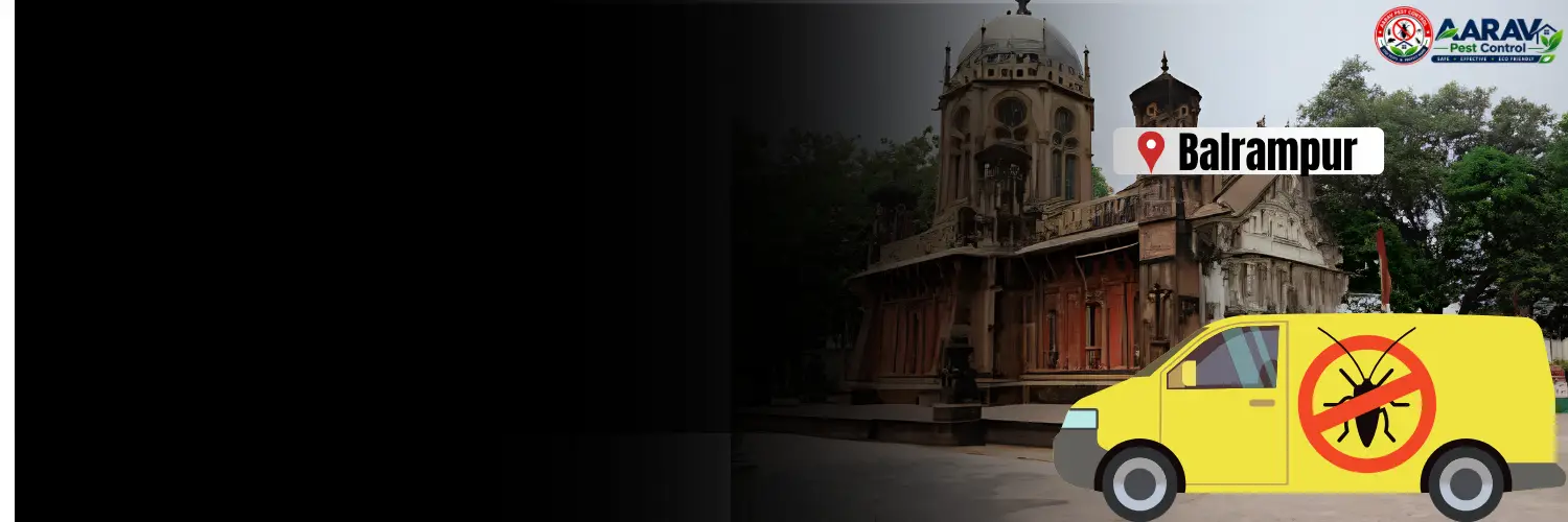 termite control in balrampur, termite treatment in balrampur, termite control balrampur, termite treatment balrampur, best termite control in balrampur, professional termite control balrampur, affordable termite treatment balrampur, termite pest control balrampur, termite exterminator balrampur, termite removal service balrampur, termite inspection balrampur, termite prevention balrampur, anti termite treatment balrampur, pre construction termite treatment balrampur, post construction termite treatment balrampur, residential termite control balrampur, commercial termite control balrampur, termite control company in balrampur, termite control service near me balrampur, termite control price in balrampur, termite treatment price in balrampur, termite control cost balrampur, termite treatment cost balrampur, aarav pest control balrampur, aarav pest control termite treatment.