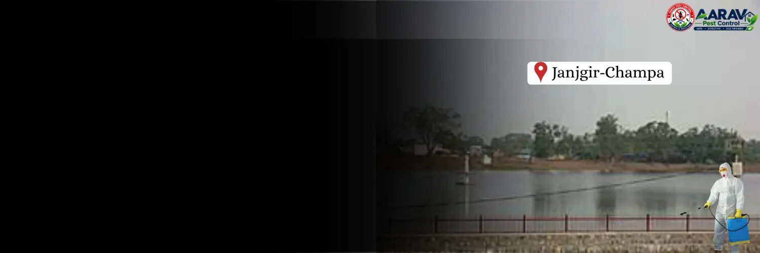 termite control in janjgir-champa, termite treatment in janjgir-champa, termite control janjgir-champa, termite treatment janjgir-champa, best termite control in janjgir-champa, professional termite control janjgir-champa, affordable termite treatment janjgir-champa, termite pest control janjgir-champa, termite exterminator janjgir-champa, termite removal service janjgir-champa, termite inspection janjgir-champa, termite prevention janjgir-champa, anti termite treatment janjgir-champa, pre construction termite treatment janjgir-champa, post construction termite treatment janjgir-champa, residential termite control janjgir-champa, commercial termite control janjgir-champa, termite control company in janjgir-champa, termite control service near me janjgir-champa, termite control price in janjgir-champa, termite treatment price in janjgir-champa, termite control cost janjgir-champa, termite treatment cost janjgir-champa, aarav pest control janjgir-champa, aarav pest control termite treatment.