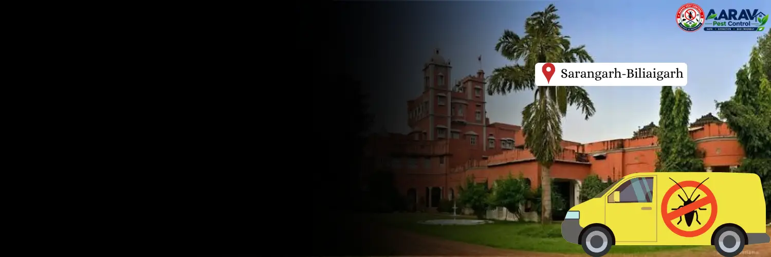 sarangarh bilaigarh pest control, pest control in sarangarh bilaigarh, pest control service sarangarh bilaigarh, pest control company in sarangarh bilaigarh, best pest control sarangarh bilaigarh, home pest control sarangarh bilaigarh, commercial pest control sarangarh bilaigarh, termite control in sarangarh bilaigarh, termite treatment sarangarh bilaigarh, cockroach control sarangarh bilaigarh, mosquito control sarangarh bilaigarh, bed bug control sarangarh bilaigarh, rat control sarangarh bilaigarh, lizard control sarangarh bilaigarh, ant control sarangarh bilaigarh, general pest control sarangarh bilaigarh, pest management sarangarh bilaigarh, pest control price sarangarh bilaigarh, sarangarh bilaigarh pest control price list, price list in sarangarh bilaigarh, affordable pest control sarangarh bilaigarh, professional pest control sarangarh bilaigarh, pest control near me sarangarh bilaigarh, pest control services sarangarh bilaigarh chhattisgarh, aarav pest control sarangarh bilaigarh, aarav pest control in sarangarh bilaigarh, aarav pest control chhattisgarh