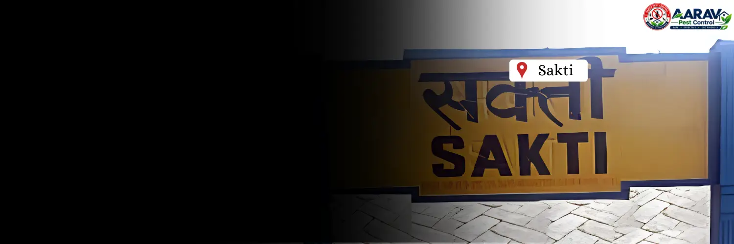 cockroach control sakti chhattisgarh, cockroach pest control sakti chhattisgarh, cockroach treatment sakti chhattisgarh, cockroach control service sakti, cockroach pest control service sakti chhattisgarh, best cockroach control sakti, professional cockroach control sakti chhattisgarh, cockroach control company sakti, aarav pest control sakti, aarav pest control chhattisgarh, cockroach removal sakti chhattisgarh, cockroach extermination sakti, home cockroach control sakti chhattisgarh, commercial cockroach control sakti, kitchen cockroach control sakti, german cockroach control sakti chhattisgarh, cockroach infestation treatment sakti, affordable cockroach control sakti chhattisgarh, effective cockroach treatment sakti, safe cockroach control sakti, cockroach control in chhattisgarh, cockroach treatment in chhattisgarh, cockroach control service in chhattisgarh, cockroach extermination chhattisgarh, cockroach gel treatment sakti, cockroach spray treatment sakti, cockroach prevention service sakti.