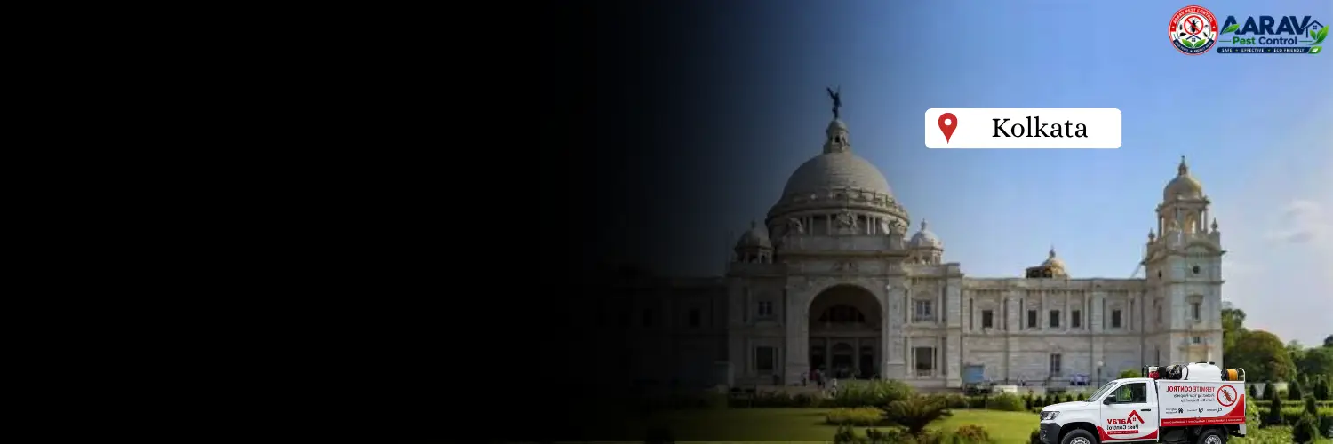 termite control in kolkata, termite treatment in kolkata, termite control kolkata, termite treatment kolkata, best termite control in kolkata, professional termite control kolkata, termite pest control kolkata, termite exterminator kolkata, termite removal service kolkata, termite inspection kolkata, termite prevention kolkata, anti termite treatment kolkata, pre construction termite treatment kolkata, post construction termite treatment kolkata, residential termite control kolkata, commercial termite control kolkata, home termite treatment kolkata, office termite control kolkata, termite control service near me kolkata, affordable termite control kolkata, termite control company in kolkata, aarav pest control kolkata, aarav pest control termite treatment, termite control price in kolkata, termite treatment price in kolkata, termite control price list kolkata, termite treatment price list kolkata, termite control cost kolkata, termite treatment cost kolkata, termite control charges kolkata, termite treatment charges kolkata, termite control rates kolkata, termite treatment rates kolkata, termite control service price kolkata, anti termite treatment price kolkata, pre construction termite treatment price kolkata, post construction termite treatment price kolkata, wood termite treatment kolkata, soil termite treatment kolkata, termite chemical treatment kolkata, termite barrier treatment kolkata, termite drilling treatment kolkata, termite control for house kolkata, termite control for furniture kolkata.