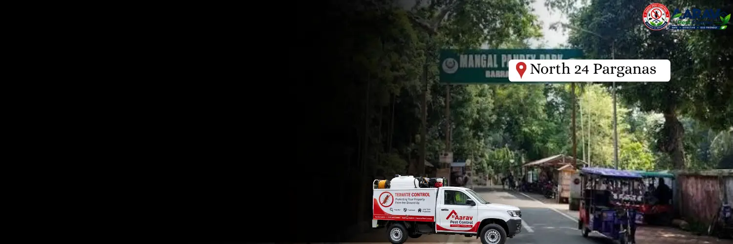 termite control in north 24 parganas, termite treatment in north 24 parganas, termite control north 24 parganas, termite treatment north 24 parganas, best termite control in north 24 parganas, professional termite control north 24 parganas, termite pest control north 24 parganas, termite exterminator north 24 parganas, termite removal service north 24 parganas, termite inspection north 24 parganas, termite prevention north 24 parganas, anti termite treatment north 24 parganas, pre construction termite treatment north 24 parganas, post construction termite treatment north 24 parganas, residential termite control north 24 parganas, commercial termite control north 24 parganas, home termite treatment north 24 parganas, office termite control north 24 parganas, termite control service near me north 24 parganas, affordable termite control north 24 parganas, termite control company in north 24 parganas, aarav pest control north 24 parganas, aarav pest control termite treatment, termite control price in north 24 parganas, termite treatment price in north 24 parganas, termite control price list north 24 parganas, termite treatment price list north 24 parganas, termite control cost north 24 parganas, termite treatment cost north 24 parganas, termite control charges north 24 parganas, termite treatment charges north 24 parganas, termite control rates north 24 parganas, termite treatment rates north 24 parganas, termite control service price north 24 parganas, anti termite treatment price north 24 parganas, pre construction termite treatment price north 24 parganas, post construction termite treatment price north 24 parganas, wood termite treatment north 24 parganas, soil termite treatment north 24 parganas, termite chemical treatment north 24 parganas, termite barrier treatment north 24 parganas, termite drilling treatment north 24 parganas, termite control for house north 24 parganas, termite control for furniture north 24 parganas.