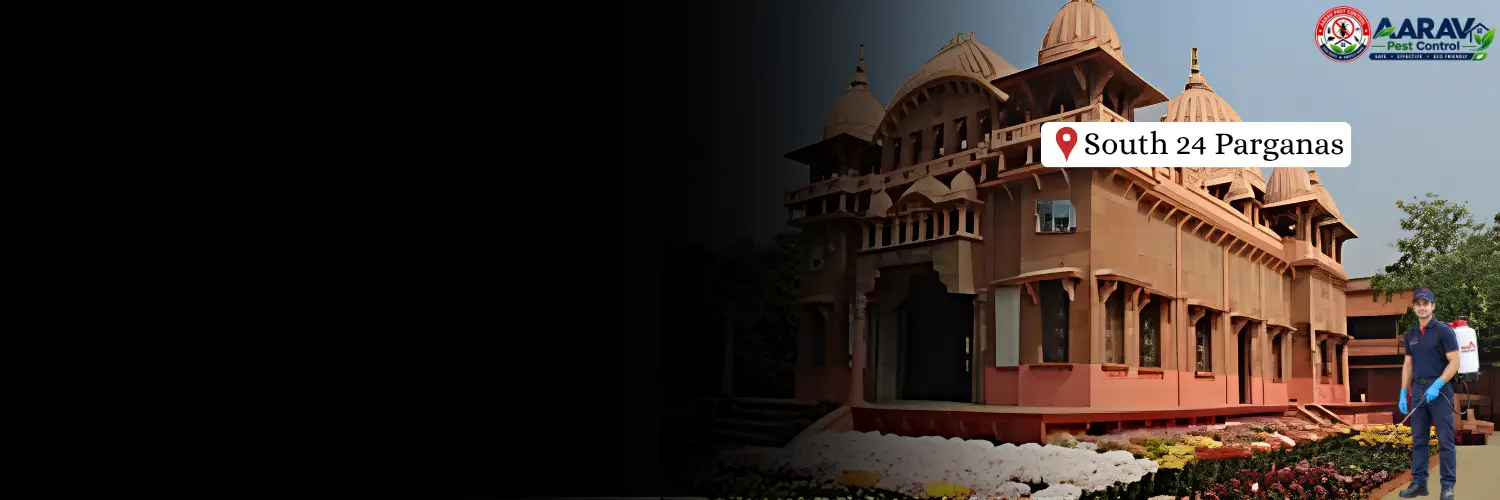 termite control in south 24 parganas, termite treatment in south 24 parganas, termite control south 24 parganas, termite treatment south 24 parganas, best termite control in south 24 parganas, professional termite control south 24 parganas, termite pest control south 24 parganas, termite exterminator south 24 parganas, termite removal service south 24 parganas, termite inspection south 24 parganas, termite prevention south 24 parganas, anti termite treatment south 24 parganas, pre construction termite treatment south 24 parganas, post construction termite treatment south 24 parganas, residential termite control south 24 parganas, commercial termite control south 24 parganas, home termite treatment south 24 parganas, office termite control south 24 parganas, termite control service near me south 24 parganas, affordable termite control south 24 parganas, termite control company in south 24 parganas, aarav pest control south 24 parganas, aarav pest control termite treatment, termite control price in south 24 parganas, termite treatment price in south 24 parganas, termite control price list south 24 parganas, termite treatment price list south 24 parganas, termite control cost south 24 parganas, termite treatment cost south 24 parganas, termite control charges south 24 parganas, termite treatment charges south 24 parganas, termite control rates south 24 parganas, termite treatment rates south 24 parganas, termite control service price south 24 parganas, anti termite treatment price south 24 parganas, pre construction termite treatment price south 24 parganas, post construction termite treatment price south 24 parganas, wood termite treatment south 24 parganas, soil termite treatment south 24 parganas, termite chemical treatment south 24 parganas, termite barrier treatment south 24 parganas, termite drilling treatment south 24 parganas, termite control for house south 24 parganas, termite control for furniture south 24 parganas.