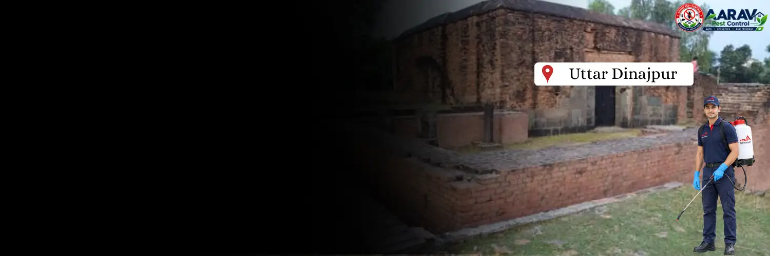 termite control in uttar dinajpur, termite treatment in uttar dinajpur, termite control uttar dinajpur, termite treatment uttar dinajpur, best termite control in uttar dinajpur, professional termite control uttar dinajpur, termite pest control uttar dinajpur, termite exterminator uttar dinajpur, termite removal service uttar dinajpur, termite inspection uttar dinajpur, termite prevention uttar dinajpur, anti termite treatment uttar dinajpur, pre construction termite treatment uttar dinajpur, post construction termite treatment uttar dinajpur, residential termite control uttar dinajpur, commercial termite control uttar dinajpur, home termite treatment uttar dinajpur, office termite control uttar dinajpur, termite control service near me uttar dinajpur, affordable termite control uttar dinajpur, termite control company in uttar dinajpur, aarav pest control uttar dinajpur, aarav pest control termite treatment, termite control price in uttar dinajpur, termite treatment price in uttar dinajpur, termite control price list uttar dinajpur, termite treatment price list uttar dinajpur, termite control cost uttar dinajpur, termite treatment cost uttar dinajpur, termite control charges uttar dinajpur, termite treatment charges uttar dinajpur, termite control rates uttar dinajpur, termite treatment rates uttar dinajpur, termite control service price uttar dinajpur, anti termite treatment price uttar dinajpur, pre construction termite treatment price uttar dinajpur, post construction termite treatment price uttar dinajpur, wood termite treatment uttar dinajpur, soil termite treatment uttar dinajpur, termite chemical treatment uttar dinajpur, termite barrier treatment uttar dinajpur, termite drilling treatment uttar dinajpur, termite control for house uttar dinajpur, termite control for furniture uttar dinajpur.