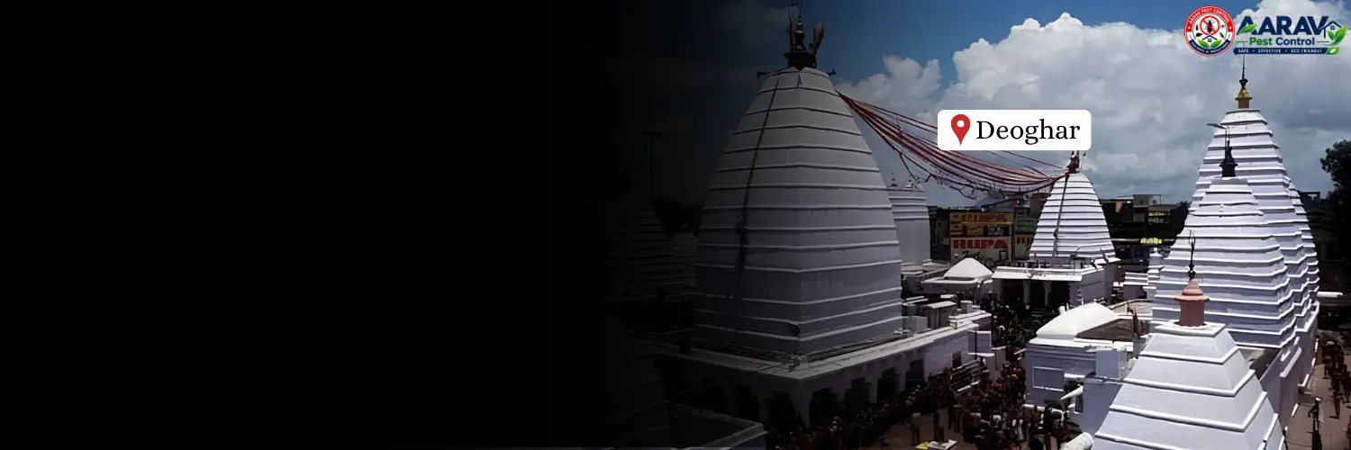 termite control in deoghar, termite treatment in deoghar, termite control deoghar, termite treatment deoghar, best termite control in deoghar, professional termite control deoghar, affordable termite treatment deoghar, termite pest control deoghar, termite exterminator deoghar, termite removal service deoghar, termite inspection deoghar, termite prevention deoghar, anti termite treatment deoghar, pre construction termite treatment deoghar, post construction termite treatment deoghar, residential termite control deoghar, commercial termite control deoghar, home termite control deoghar, office termite control deoghar, termite control service near me deoghar, termite control company in deoghar, termite control services deoghar, termite treatment services deoghar, wood termite treatment deoghar, soil termite treatment deoghar, termite chemical treatment deoghar, termite barrier treatment deoghar, termite drilling treatment deoghar, termite control for house deoghar, termite control for furniture deoghar, termite control price in deoghar, termite treatment price in deoghar, termite control price list deoghar, termite treatment price list deoghar, termite control cost deoghar, termite treatment cost deoghar, termite control charges deoghar, termite treatment charges deoghar, termite control rates deoghar, termite treatment rates deoghar, termite control service price deoghar, anti termite treatment price deoghar, pre construction termite treatment price deoghar, post construction termite treatment price deoghar, aarav pest control deoghar, aarav pest control termite treatment, aarav pest control termite control deoghar, best termite treatment company deoghar, termite control experts deoghar, termite control specialist deoghar.