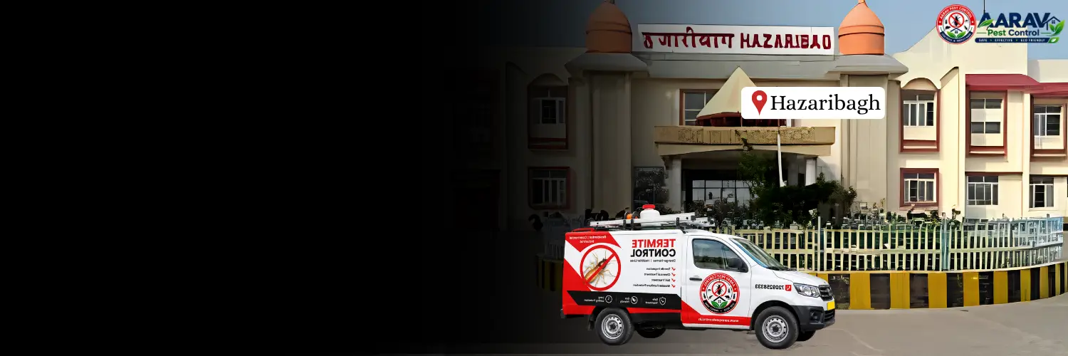 termite control in hazaribagh, termite treatment in hazaribagh, termite control hazaribagh, termite treatment hazaribagh, best termite control in hazaribagh, professional termite control hazaribagh, affordable termite treatment hazaribagh, termite pest control hazaribagh, termite exterminator hazaribagh, termite removal service hazaribagh, termite inspection hazaribagh, termite prevention hazaribagh, anti termite treatment hazaribagh, pre construction termite treatment hazaribagh, post construction termite treatment hazaribagh, residential termite control hazaribagh, commercial termite control hazaribagh, termite control company in hazaribagh, termite control service near me hazaribagh, termite control price in hazaribagh, termite treatment price in hazaribagh, termite control cost hazaribagh, termite treatment cost hazaribagh, aarav pest control hazaribagh, aarav pest control termite treatment.