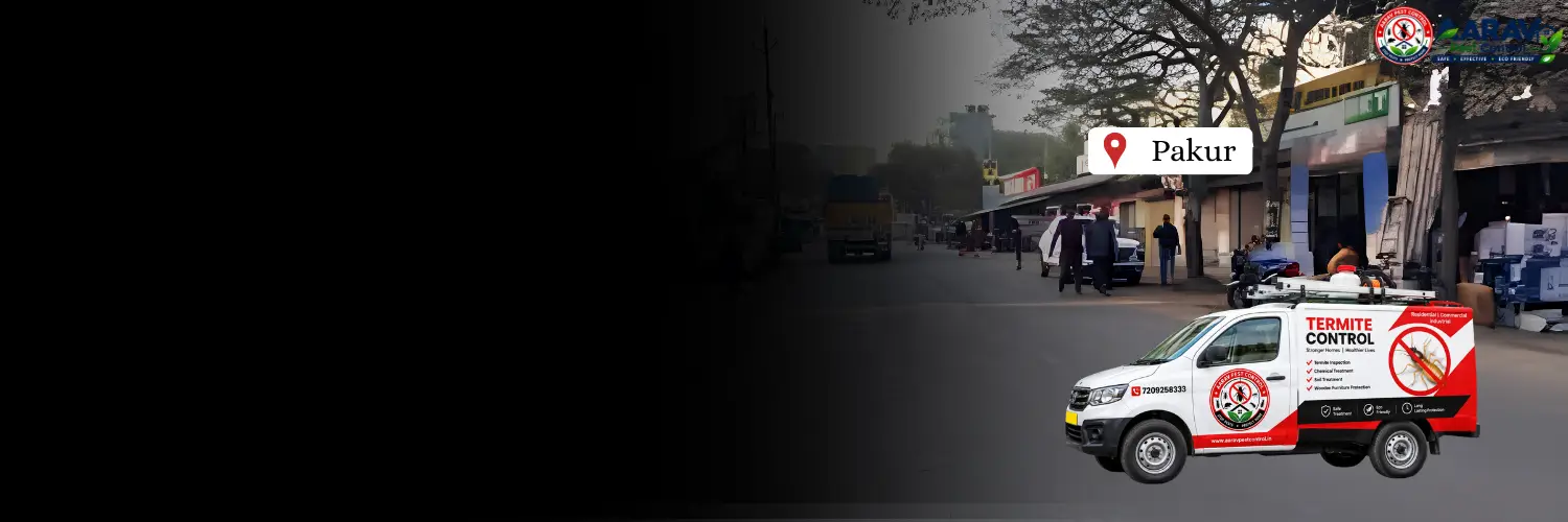 termite control in pakur, termite treatment in pakur, termite control pakur, termite treatment pakur, best termite control in pakur, professional termite control pakur, affordable termite treatment pakur, termite pest control pakur, termite exterminator pakur, termite removal service pakur, termite inspection pakur, termite prevention pakur, anti termite treatment pakur, pre construction termite treatment pakur, post construction termite treatment pakur, residential termite control pakur, commercial termite control pakur, termite control company in pakur, termite control service near me pakur, termite control price in pakur, termite treatment price in pakur, termite control cost pakur, termite treatment cost pakur, aarav pest control pakur, aarav pest control termite treatment.