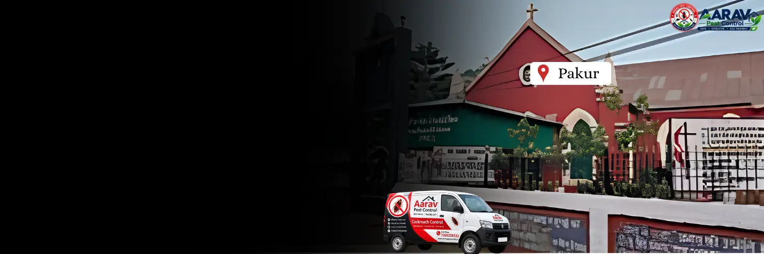 cockroach control pakur jharkhand, cockroach pest control pakur, cockroach treatment pakur jharkhand, cockroach control in pakur, cockroach control service pakur, best cockroach control pakur, professional cockroach treatment pakur, aarav pest control pakur, cockroach removal pakur, home cockroach control pakur, commercial cockroach control pakur, german cockroach control pakur, cockroach gel treatment pakur, cockroach spray treatment pakur, cockroach control price pakur, cockroach treatment price pakur, cockroach control price list pakur, cockroach treatment cost pakur, affordable cockroach treatment pakur, cockroach control in jharkhand