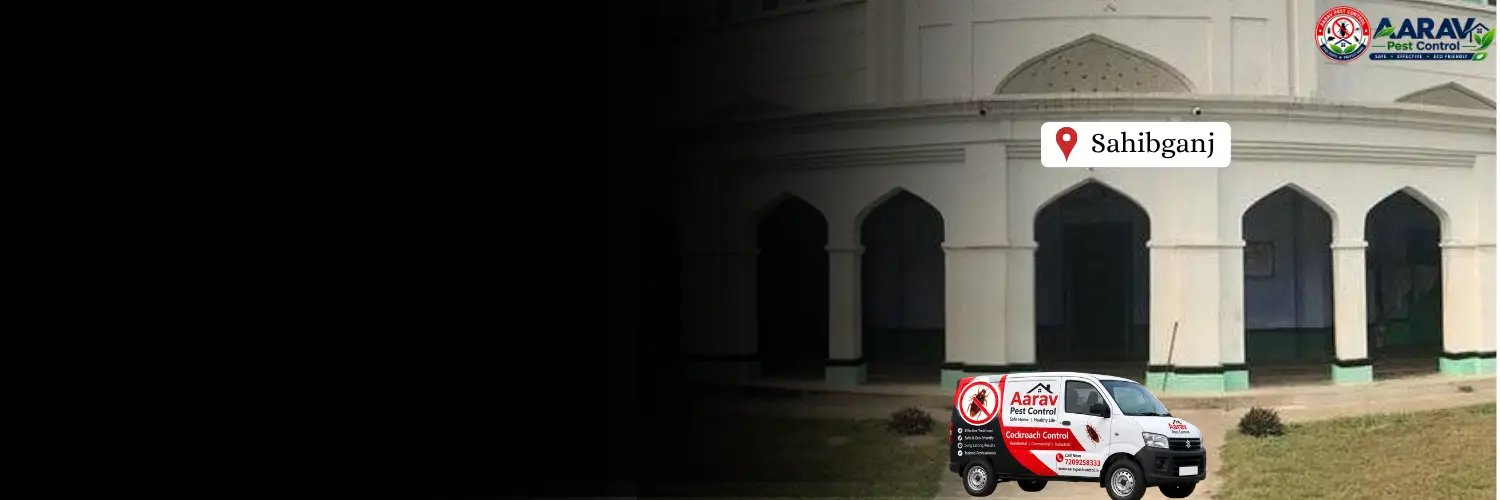 cockroach control sahibganj jharkhand, cockroach pest control sahibganj, cockroach treatment sahibganj jharkhand, cockroach control in sahibganj, cockroach control service sahibganj, best cockroach control sahibganj, professional cockroach treatment sahibganj, aarav pest control sahibganj, cockroach removal sahibganj, home cockroach control sahibganj, commercial cockroach control sahibganj, german cockroach control sahibganj, cockroach gel treatment sahibganj, cockroach spray treatment sahibganj, cockroach control price sahibganj, cockroach treatment price sahibganj, cockroach control price list sahibganj, cockroach treatment cost sahibganj, affordable cockroach treatment sahibganj, cockroach control in jharkhand