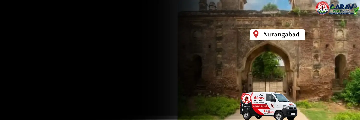 termite control in aurangabad, termite treatment in aurangabad, termite control aurangabad, termite treatment aurangabad, best termite control in aurangabad, professional termite control aurangabad, affordable termite treatment aurangabad, termite pest control aurangabad, termite exterminator aurangabad, termite removal service aurangabad, termite inspection aurangabad, termite prevention aurangabad, anti termite treatment aurangabad, pre construction termite treatment aurangabad, post construction termite treatment aurangabad, residential termite control aurangabad, commercial termite control aurangabad, termite control company in aurangabad, termite control service near me aurangabad, termite control price in aurangabad, termite treatment price in aurangabad, termite control cost aurangabad, termite treatment cost aurangabad, aarav pest control aurangabad, aarav pest control termite treatment.