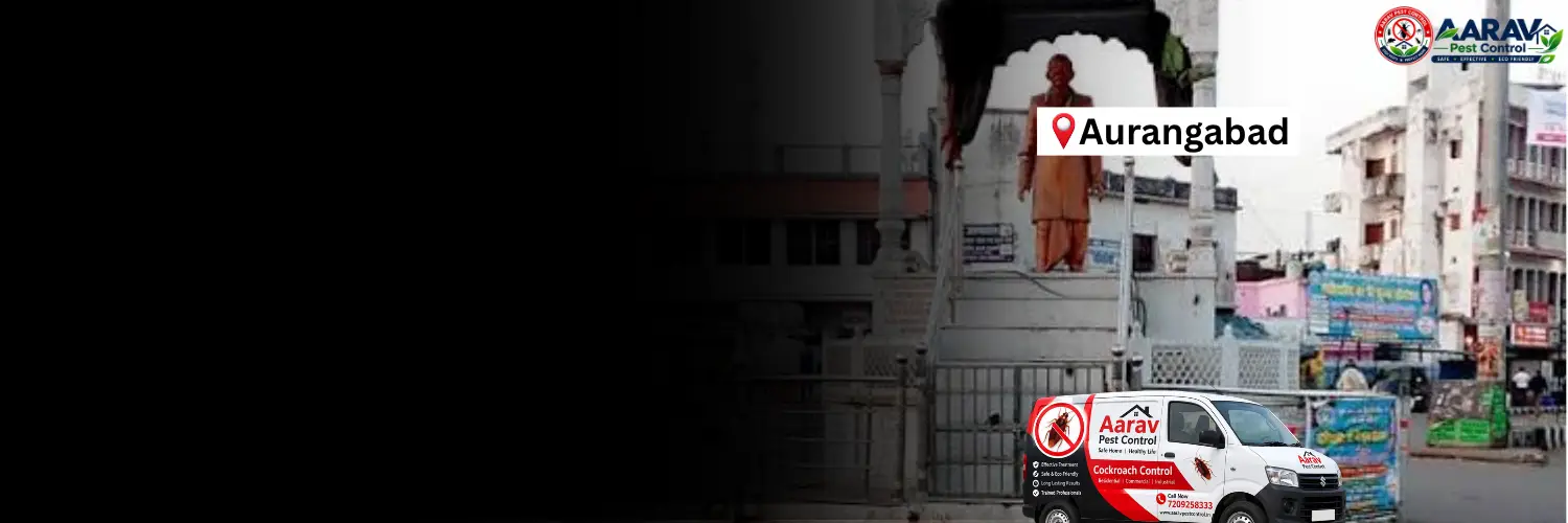 cockroach control aurangabad bihar, cockroach pest control aurangabad, cockroach treatment aurangabad bihar, cockroach control in aurangabad, cockroach control service aurangabad, best cockroach control aurangabad, professional cockroach treatment aurangabad, aarav pest control aurangabad, cockroach removal aurangabad, home cockroach control aurangabad, commercial cockroach control aurangabad, german cockroach control aurangabad, cockroach gel treatment aurangabad, cockroach spray treatment aurangabad, cockroach control price aurangabad, cockroach treatment price aurangabad, cockroach control price list aurangabad, cockroach treatment cost aurangabad, affordable cockroach treatment aurangabad, cockroach control in bihar